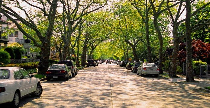 Neighborhood in Nassau County, NY