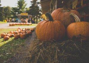 Three pumpkins sitting on a hay bail.