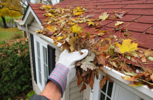 Person removes leaves collected in gutter during fall